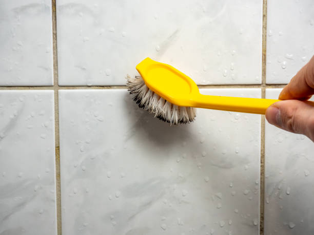 Best Professional Mold Removal  in Xtonia, PA